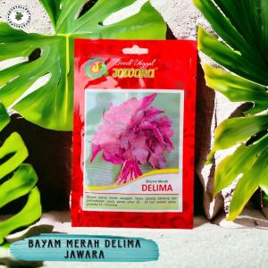 Benih Bibit Bayam Merah Delima Benih Unggul Jawara - BAYAM MERAH DELIMA