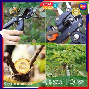 COD Taffware Gunting Cangkok Okulasi Batang Tanaman Grafting Pruning Tool - 210 / gunting cangkok tanaman modern serbaguna untuk menata pohon bonsai memotong dahan kecil memangkas dengan metode grafting untuk pertanian viral