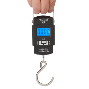 55Kg/10g Electronic Digital Hanging Scale LCD Display USB Charging Double Precision Fish Hook Scale Portable Mini Luggage Scale Travel Weight Metal Steelyard Backlight