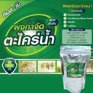 ของแท้ ส่งด่วน ผงกำจัดตะไคร่น้ำเขียว 1 ซองไม่ต้องขัดโรยผงบนพื้น 10 นาทีคราบออกเกลี้ยง ใช้ได้ทั้งบนพื้นปูน พื้นกระเบื้อง หินอ่อน ทรายล้าง