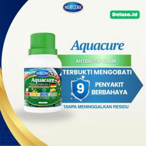 Deluso X Bluecore AquaCure antibiotik alami ikan untuk cegah bakteri virus cocok semua jenis ikan