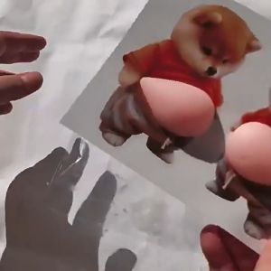 3D Shiba Inu Dog Belly Sticker – Super Soft Silicone Anti-Collision Door Stopper for Phones Shell Cars & Home Use Decor Stress Relief Protector for Walls and Doors