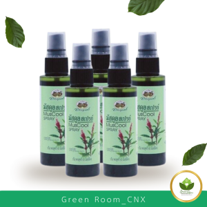 มัสคูลย์สเปรย์ อภัยภูเบศร ขนาด 60 ml ใช้ภายนอก ฉีดพ่น บริเวณที่มีอาการ