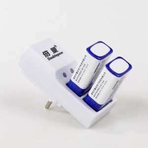 Doublepow Paket Pengisi Daya Charger 2 slot Untuk 9V Dengan 2PCS Baterai 9V 280mAh Lithium Ion - DP-B09 - S3AD09WH