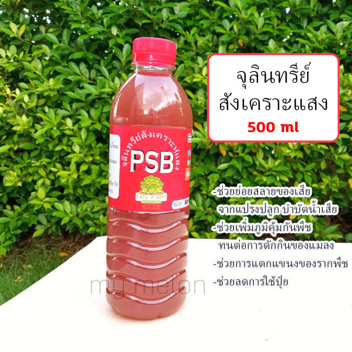 10 อันดับ จุลินทรีย์สังเคราะห์แสง (PSB) ยี่ห้อไหนดี? อัปเดตปี 2025 สำหรับพืชสวย ดินดี!
