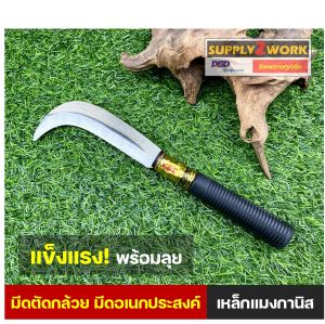 มีดตัดกล้วย มีดชำแหละกล้วยออกจากเครือหวี มีดปอกเปลือกผลไม้ มีดตัดผักผลไม้ มีดอเนกประสงค์ ใบมีดเหล็กกล้าคาร์บอนสูง (เหล็กแมงกานิส)