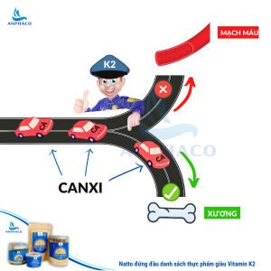 Natto đậu tương lên men  viên tía tô  Anphaco hỗ trợ phòng tai biến đột quỵ bổ xung lợi khuẩn vitamin K2