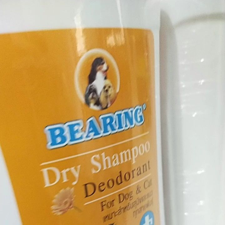 Bearing Dry Shampoo Deodorant 300g Lazada PH