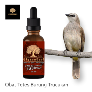 obat tetas burung super gacor Suplemen multivitamin burung trucukan QiyaraSari Trucukan 20 ml
