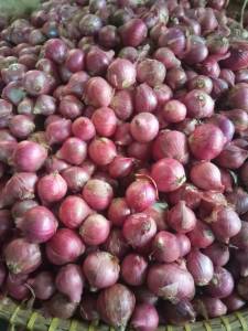 bawang merah SUPER asli garut 1kg ukuran sedeng rata ke atas