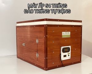 Máy ấp 54 trứng đảo tự động ráp hoàn thiện thùng Nhôm ALU