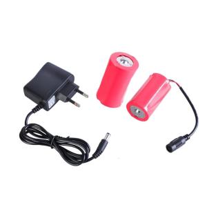 Continuous Power Solution Power Converter Adapter for 3V Devices Replacement 2pcs 1.5V LR20 D Devices