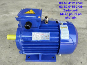 Mô tơ 3kw điện 3 pha Toàn Phát vòng tua 1420v/p
