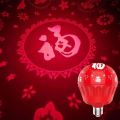 ไฟ LED สีตัวละครไฟสีสันสดใสไฟตกแต่งเทศกาลฤดูใบไม้ผลิปีใหม่ไฟ LED ไฟเปลี่ยนสีแบบ Fu ไฟทางเดิน. 