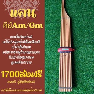 แคน8ลิ้นเงินอย่างดี เต้าไม้ประดู่ เป่าง่ายไม่กินลม ใช้ออกงานสบาย