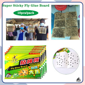 10pcs/Pack Fly Catcher Glue Board Fly Trap Board Traps Fruit Flies Kitchen Flies Pest Control