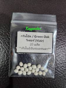 เมล็ดพันธุ๊ผักสลัด แบบเมล็ดเคลือบ ENZA ZADEN อัตราการงอก 99% แบ่งบรรจุ 20/100 เมล็ด