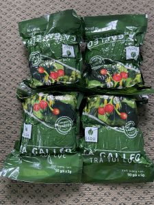 Combo 2 bịch cà gai leo túi lọc Sadu mát gan-bảo vệ gan 100 túi lọc ( 500g )