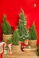 Cây Sơn Tùng, Cây Trang Trí Giáng Sinh, Cây Thông Noel Cao 1Met.
