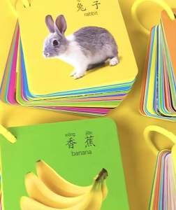 [Ready Stock] Baby/Toddler Learning Flash Card with Diff Theme (Fruits/Number/Character Chinese HYPY/Vege) Gift