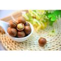 Quả mắc ca Cadita 500g, hạt macca nhập khẩu từ Úc, giàu dinh dưỡng, tốt cho sức khỏe, đặc biệt tốt cho người lớn tuổi, phụ nữ có thai, trẻ em. 