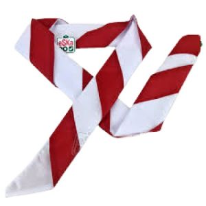 Kacu Pembina Pramuka plus ring untuk Pembina Guru PNS  XL