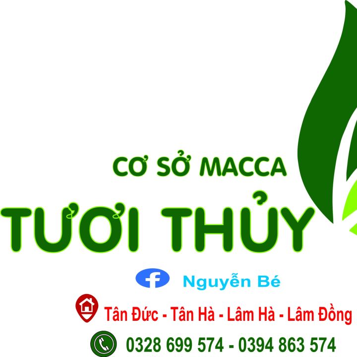 Hạt Macca sấy nứt_ Macca Tươi Thủy (500gr có kèm đồ tách hạt)