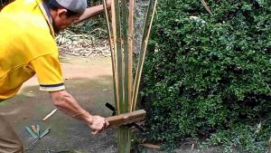 Alat belah bambu pisau8 terbaik termurah