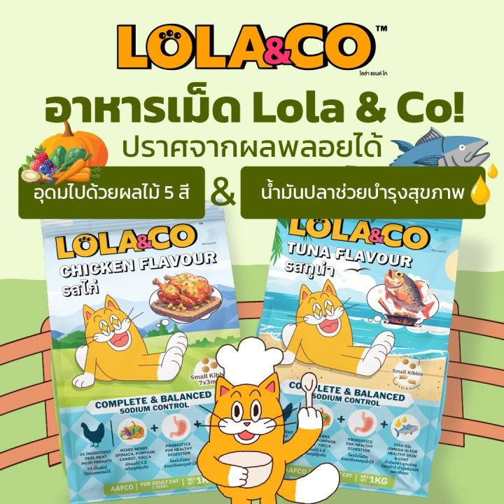 5 อันดับอาหารแมว Lola & Co (โลล่า แอนด์ โค) ยี่ห้อไหนดี? อัปเดตปี 2025