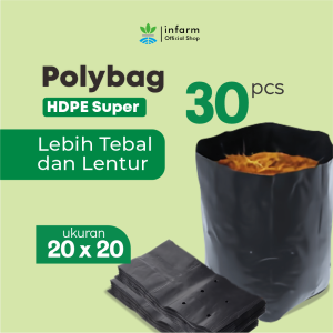 INFARM - 30 PCS Polybag 20x20