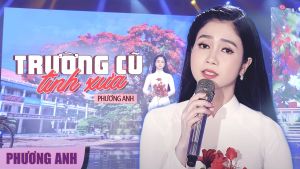 MP3 Bolero Thế Hệ Trẻ NHẠC VÀNG 120 Bài Hát Lossless