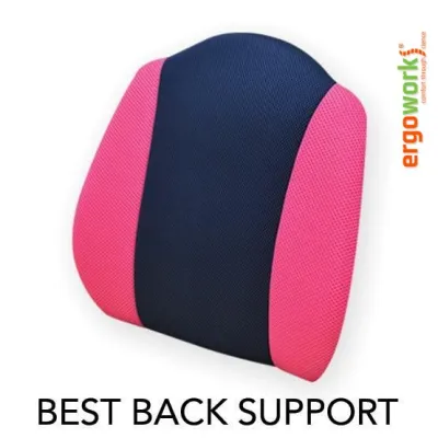 Ergoworks Ergonomic Backrest | Orthopaedic Lumbar Support Perfect Posture Backrest (Large) - EW-PPBL