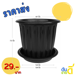 กระถาง กระถางต้นไม้ มินิมอล โรมัน+จาน ขนาด 8 นิ้ว สีดำ สีขาว สีเทา สีอิฐ Bundle 5 ใบ ชิ้น อัน