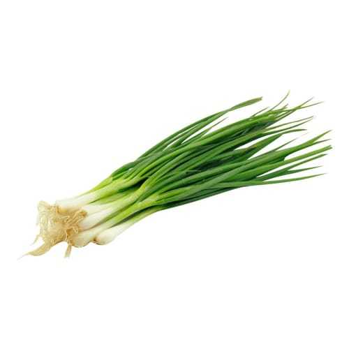 Spring Onion Bundle (500g) - [Same Day Delivery cut off at 4PM] | Lazada PH