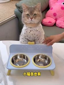 Stainless Steel Elevated Cat Bowls Splash Proof Raised Cat Food and Water Bowl Set for Cats & Puppy