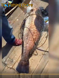 Sougayilang COD Pancing Super Kuat Murah 2 Bagian 180 120cm Memancing Mudah 20kg Joran Pancing