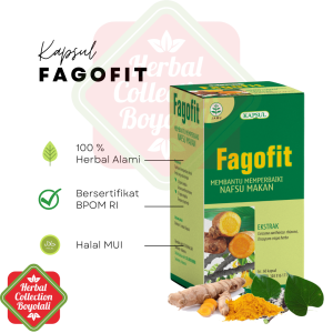 Suplemen herbal untuk menambah nafsu makandengan Kapsul Herbal Fagofit Griya Herba Official Suplemen alami Untuk Penambah Nafsu