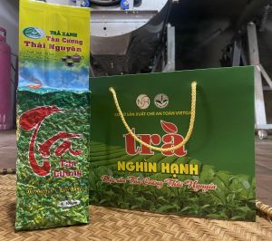 500g Trà Xanh Đặc Sản Tân Cương Thái Nguyên - Nguyên chất 100% - An toàn Vietgap ( tặng túi xách )