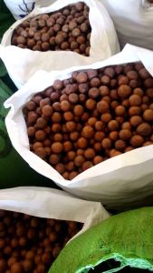 2 kg mắc ca sấy Daklak đã nứt vỏ ( 4 bịch 500g/bịch)-tặng khui trong mỗi bịch