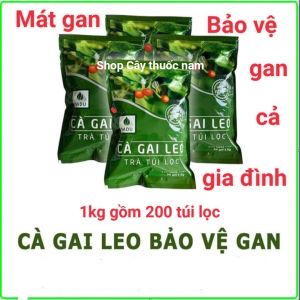 Cà gai leo túi lọc sadu 1kg ( gồm 200 túi lọc ) hút chân không tiện dụng