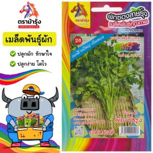 RAINBOWHORSE 🇹🇭 ผักซอง ม้ารุ้ง Z026# ผักชี  สายรุ้ง เมล็ดพันธุ์ เมล็ดพันธุ์ผัก เมล็ดผัก ผักสวนครัว ตราม้ารุ้ง