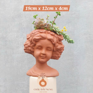 Chậu đất nung chậu sen đá - Quý Bà Rosa ốp tường 191204 miệng 12cm rộng 4cm cao 19cm