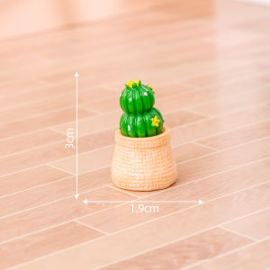 JT Garden A036  กระบองเพชรจิ๋วขนาดเล็ก สำหรับแต่งบ้าน แต่งโต๊ะทำงาน เป็นของขวัญ พร้อมส่งจากไทย