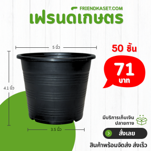 กระถาง 5 5.4 5.7 นิ้ว ยกมัด 50 ใบ มี 3 ไซด์ให้เลือก