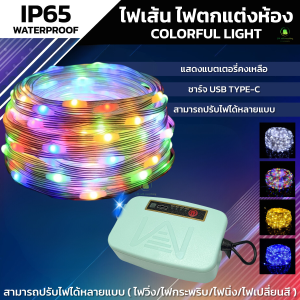 ไฟสายยาง ยาว5M ไฟตกแต่งต้นคริสต์มาส กันน้ำ ไฟเส้น ชาร์Type-C ปรับได้หลายสี นีออนไฟยืดหยุ่น ไฟประดับตกแต่ง