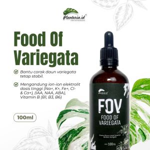 Monstera Variegata Pupuk Variegata 100ml