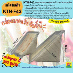 (ยกลังถูกกว่า 500 ชิ้น/ลัง) กล่องแซนวิชสามเหลี่ยมจัมโบ้ PET ใส แบบฝาล็อคแน่น [KTN-F42]