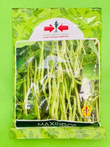 Benih Buncis MAXIPRO 500gr oleh Cap Panah Merah Mantap!!!