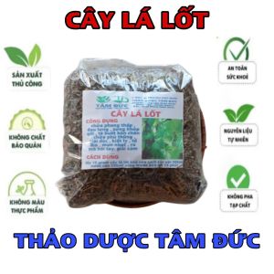 100g cây lá lốt sấy khô