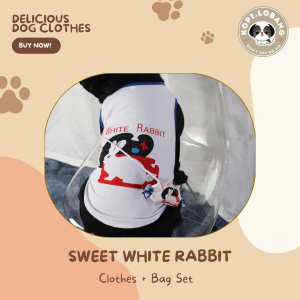 [SG] DELICIOUS DOG CLOTHES + BAG ★ DOG AND CAT FREE Enrichment Tips & Ideas e-Guide Worth $7★ SG Stock ★ Kopi Lobang ★ For Dog Cat ★ Perfect for Gift